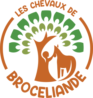 Les chevaux de Brocéliande